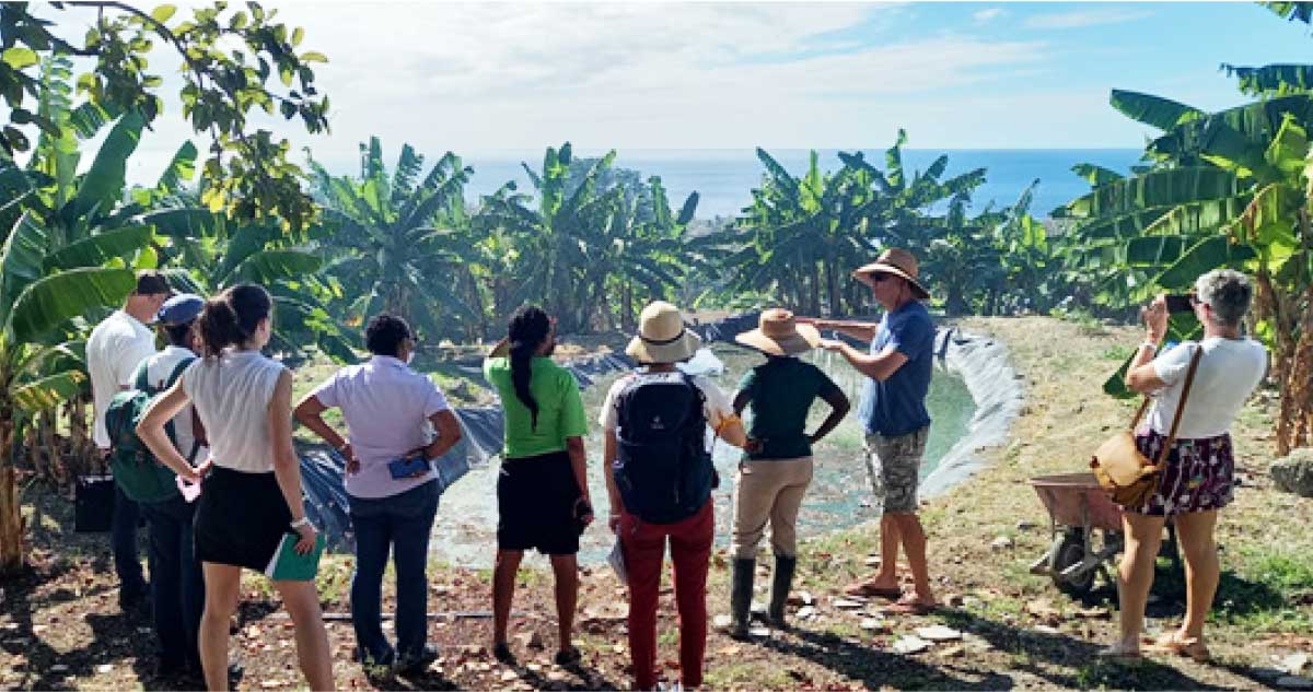 The French and Saint Lucuan teams examine a resident treatment plant at Ti Kaye resort.
