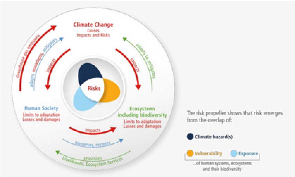 Figure: The Risk Propeller – interconnection between climate change, human society, and ecosystems, including biodiversity (Source: IPCC WGII Report 2022).