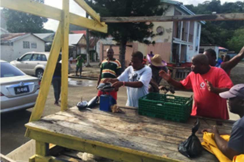 Local Fisherman in Anse la Raye sorting the days catch. Anse la Raye being a low-lying area is at immediate threat from rising sea levels and polluted water. 