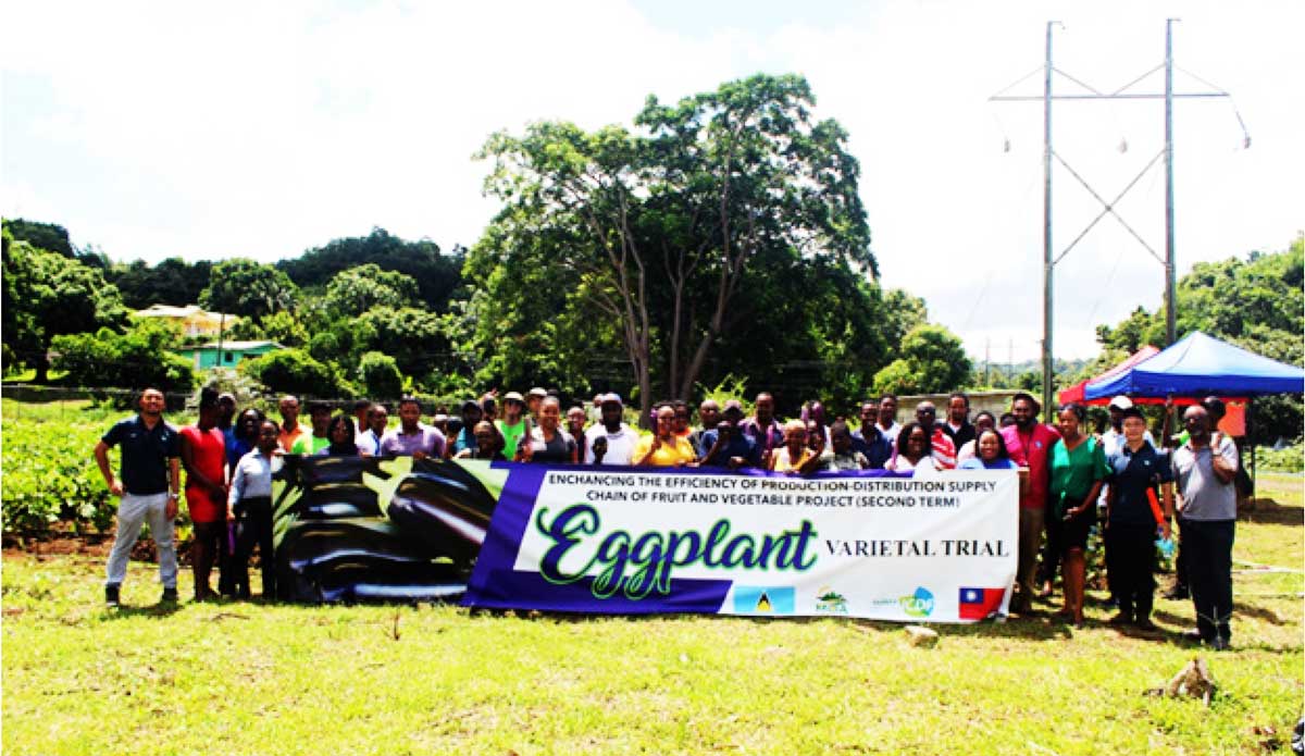 Officials and participants at the eggplant production demonstration at Union on September 13.