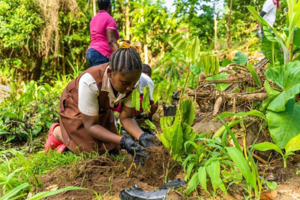 A student engaged in in the tree planting exercise.