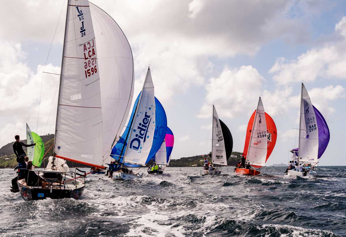 Yacht fleet in action at the Mango Bowl