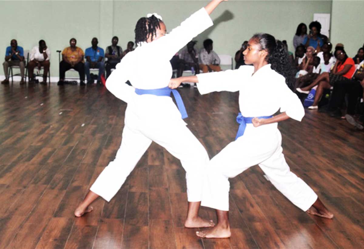 Chanice Searles (at right) was awarded the 3rd Kyu Brown Belt rank.