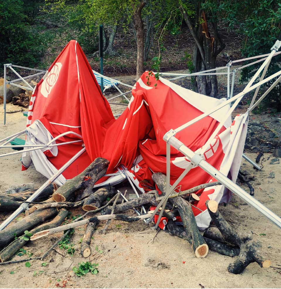 Fallen tree destroyed tent at PINL.