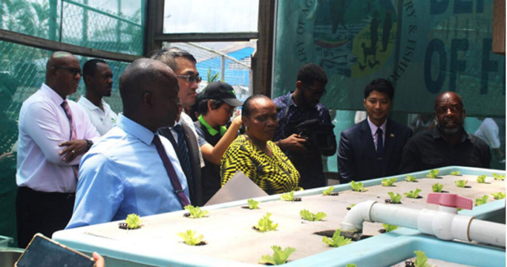 His Excellency Peter Chia-yen Chen, Taiwan’s Ambassador to Saint Lucia, and Hon. Alfred Prospere, Minister for Agriculture, Fisheries, Food Security and Rural Development, join others at the site visit of the aquaponics demonstration system at the Department of Fisheries.