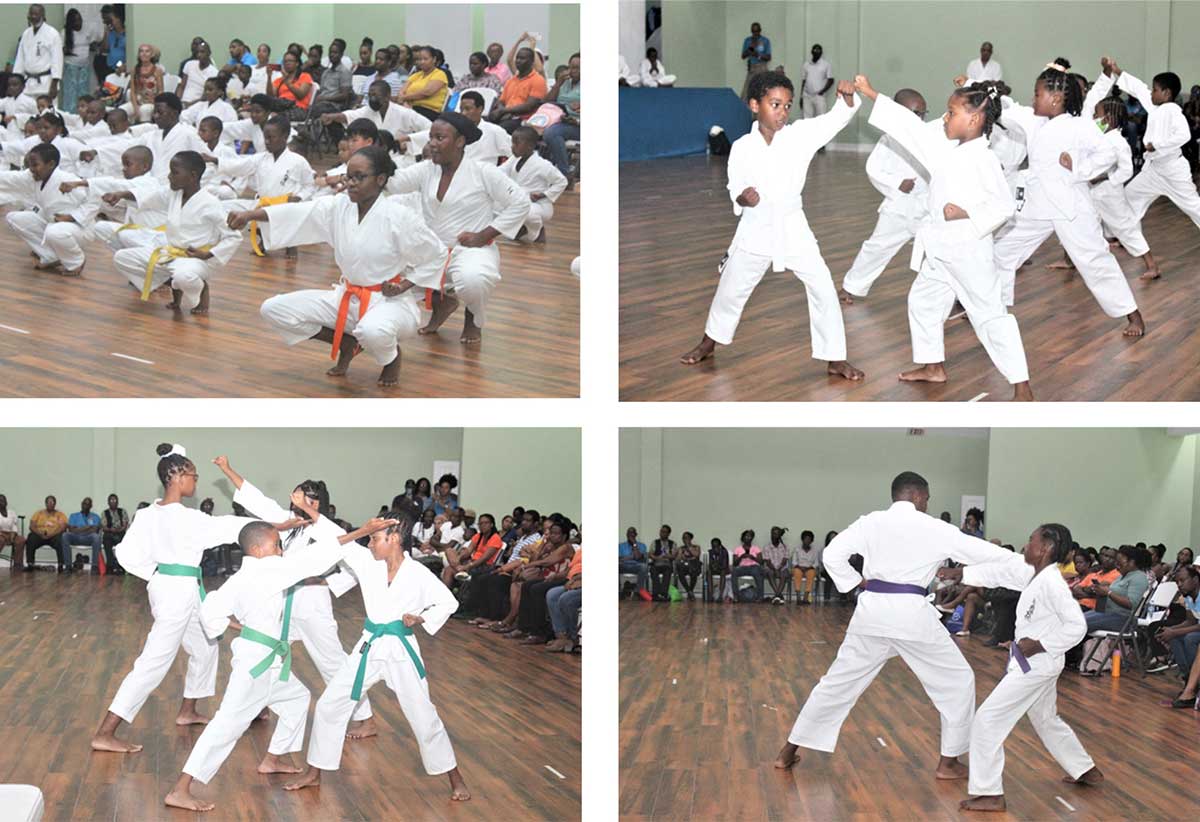 Saint Lucian Karatekas Excel