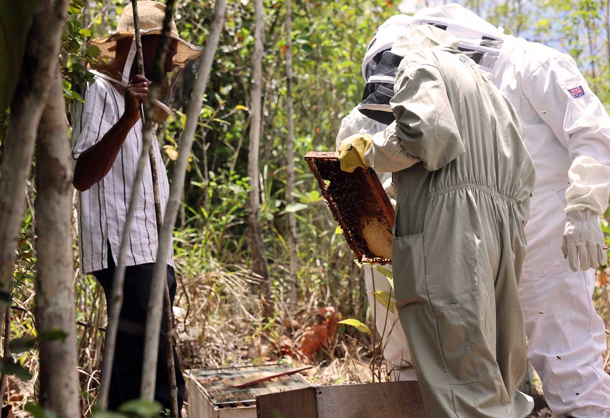 Participants at the Honey workshop