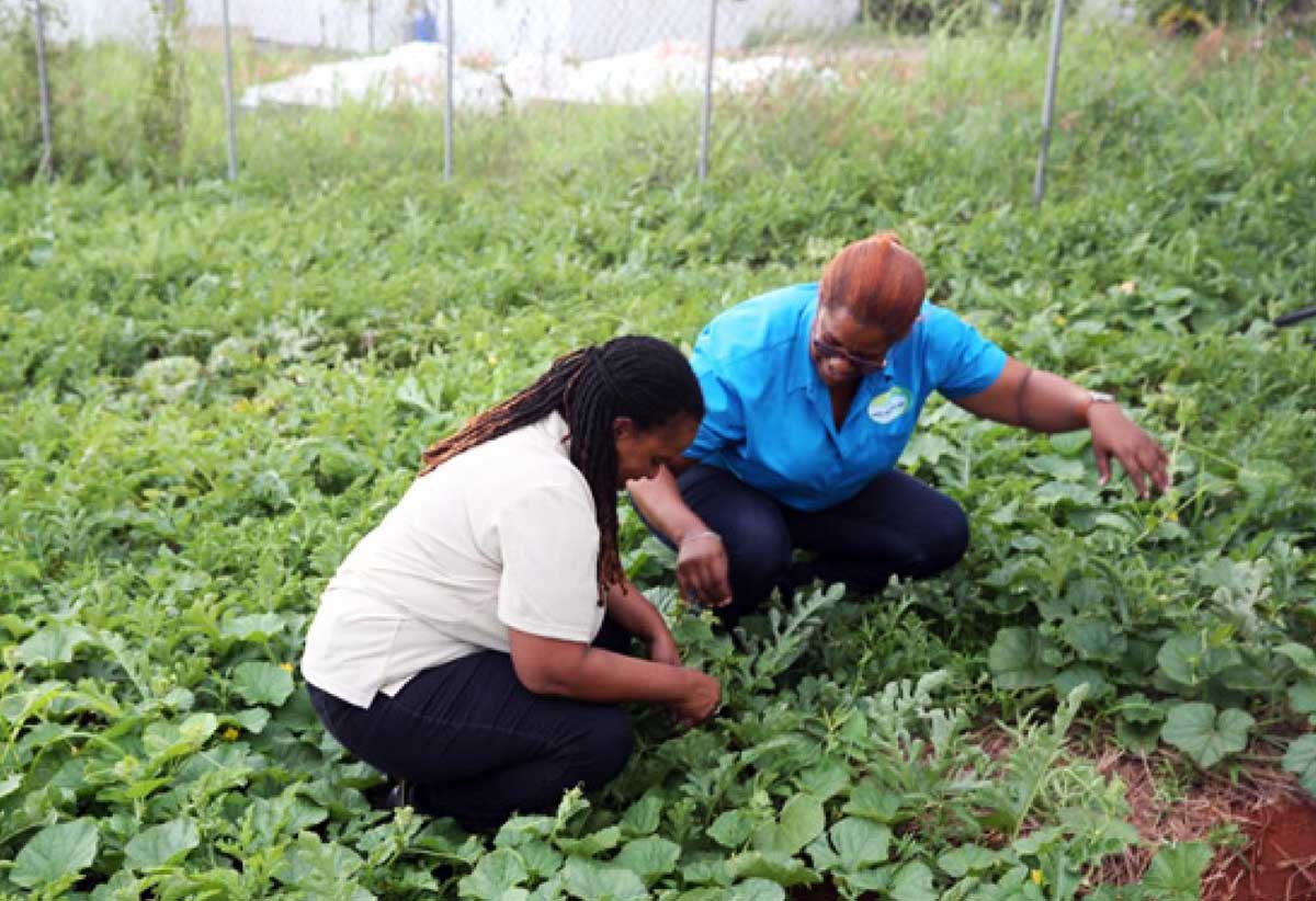 Community development professionals working in the field.