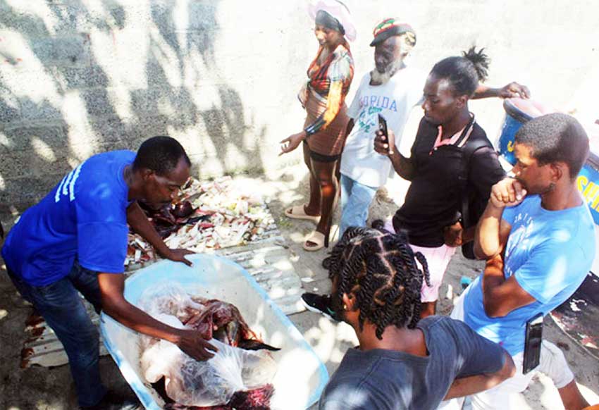 Workshop participants assisting Thaddeus Constantine, Chief Agri-Enterprise Development Officer in the Ministry of Agriculture, (far left), to create the compost using various organic materials.